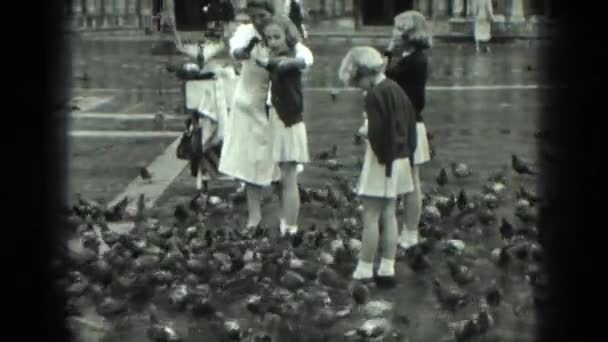 Iskoláslányok egyenruhát élvezze etetés egy állománynak a galambokat a városi elhelyezkedés — Stock videók