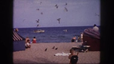 Sahilde Kuşlar sürüsü