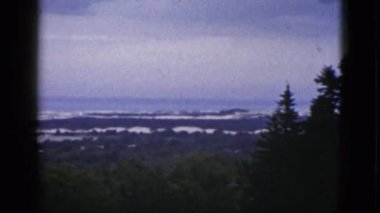 Orman ve karlı tepelerin görünümünü gözlemleyerek