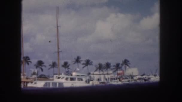 Observing view of boats and buildings — Stock Video