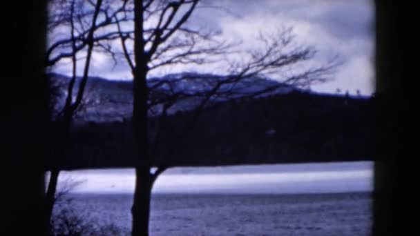 Bäume winken im Winter im Wind in der Nähe eines Sees — Stockvideo