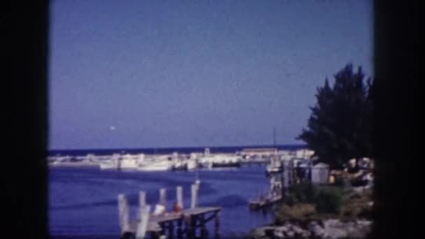 Observación de la orilla del mar y los barcos — Vídeo de stock