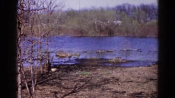 Une zone d'eau est vue — Video