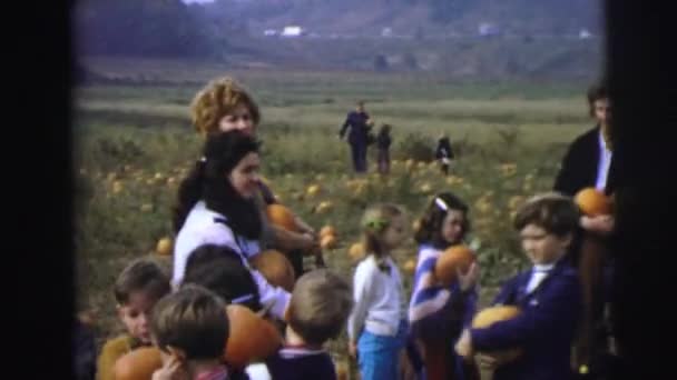 Personas en un parche de calabaza conseguir calabazas — Vídeo de stock