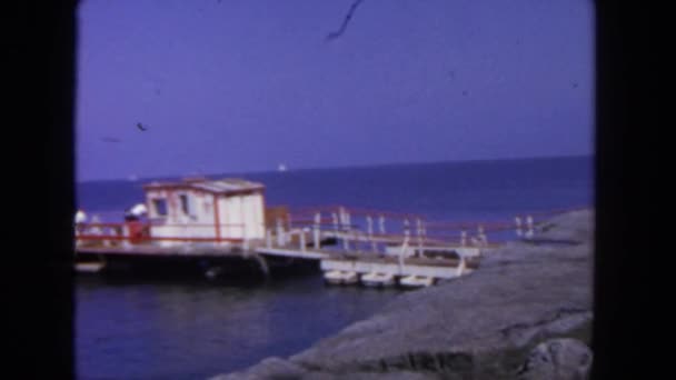 Παρατηρώντας την θέα της θάλασσας pierand — Αρχείο Βίντεο