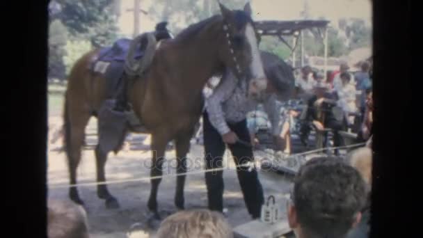 Cowboy och häst framför publik — Stockvideo