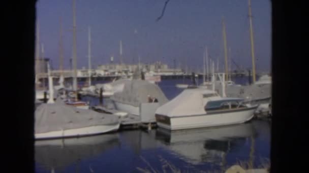 Лодки и яхты, плавающие в хабе — стоковое видео