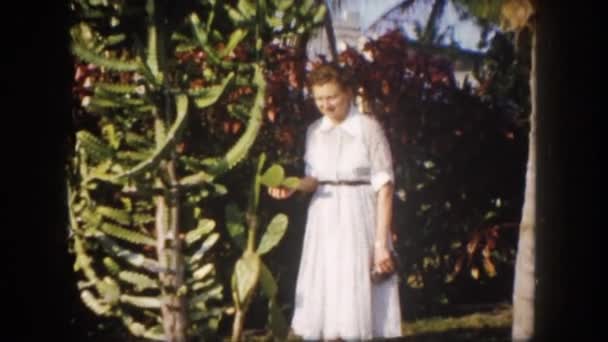 Женщина, стоящая возле кактуса — стоковое видео