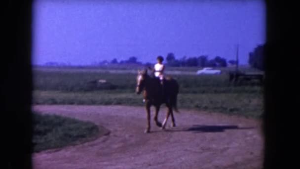 Gril paardrijden paard — Stockvideo