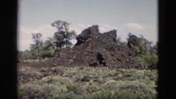 Alberi e cespugli ondeggianti con vento — Video Stock