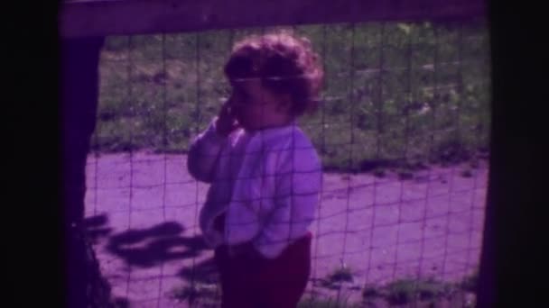 Un bambino piccolo è visto — Video Stock