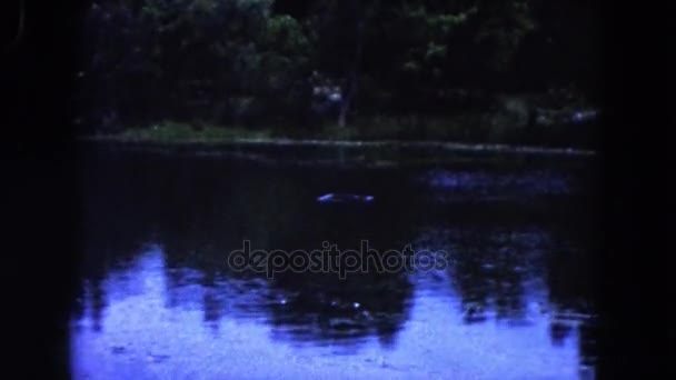 Paisaje vista del lago del bosque — Vídeo de stock