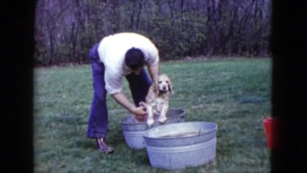 Man hond wassen — Stockvideo