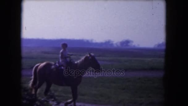 Грильская лошадь — стоковое видео