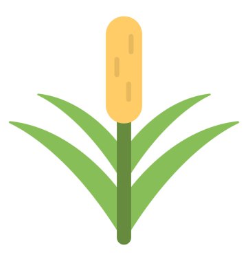  Bullrush vektör simgesi