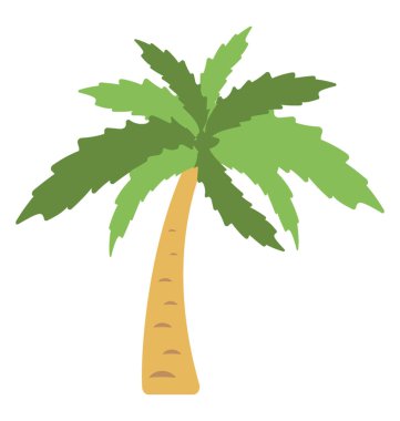  Palm vektör simgesi