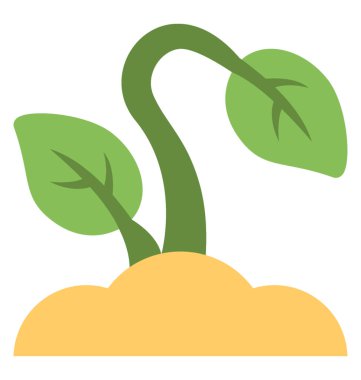 Fidan vektör simgesi