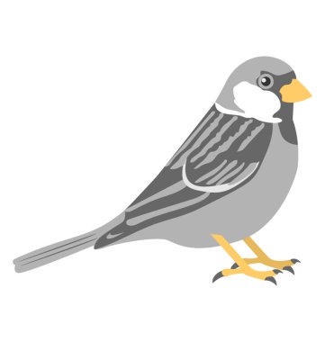  Serçe vektör simgesi