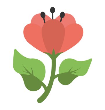  Hibiscus vektör simgesi