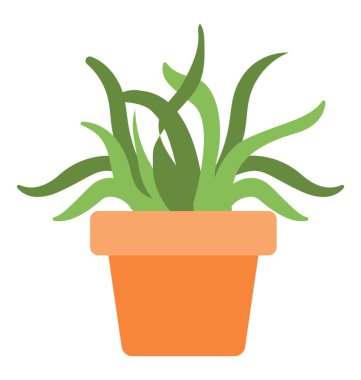  Aloe vera vektör simgesi