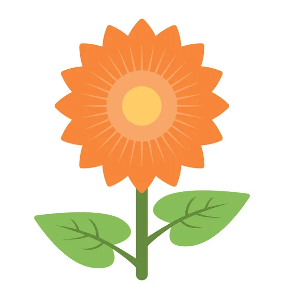 Sunflower Vector Icon — Stock Vector