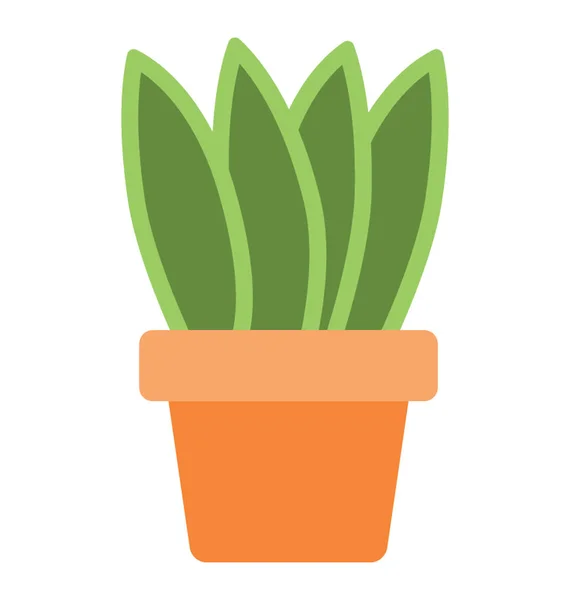 Aloe vera vector icono — Vector de stock