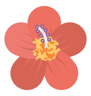  Homo vektör simgesi