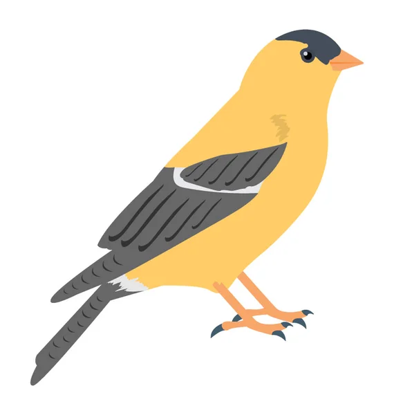 Sparrow Vector Icono — Vector de stock
