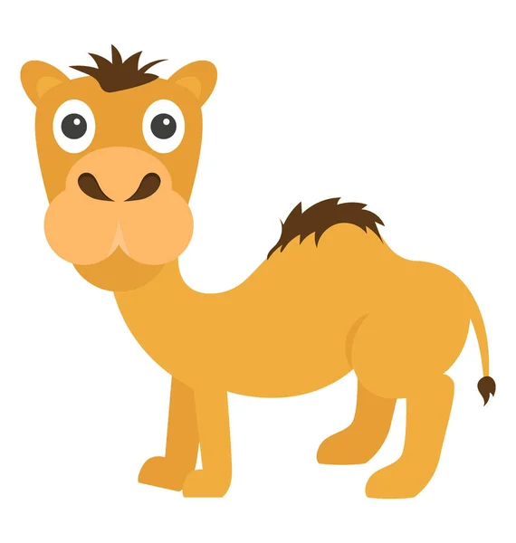 Camel vector icono — Archivo Imágenes Vectoriales