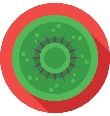  Kivi vektör simgesi