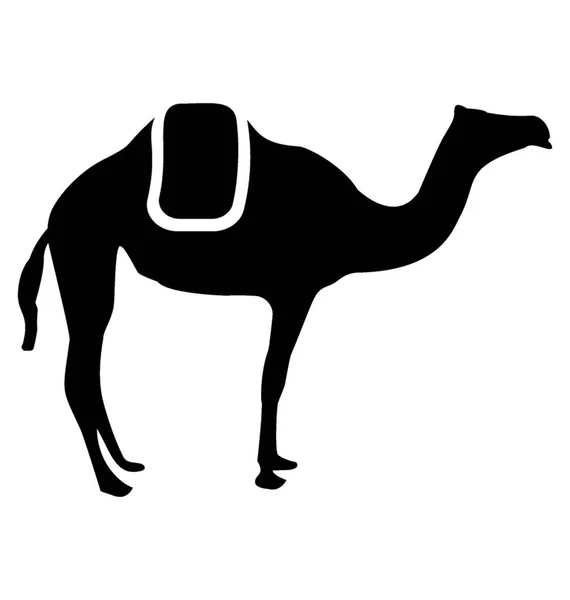 Camel Walking Glyph Vector Icon — Stock Vector