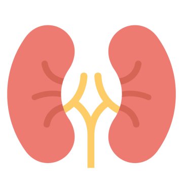  İnsan böbrekler vektör simgesi