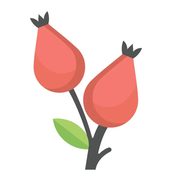 Rose Hips Icono plano — Vector de stock