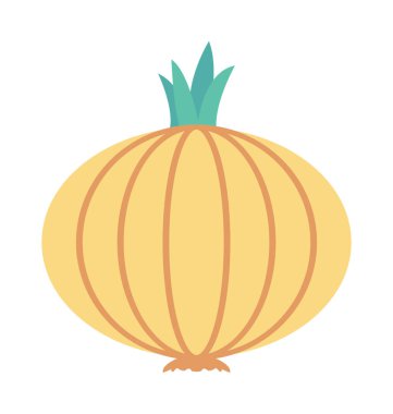 Soğan renkli vektör simgesi