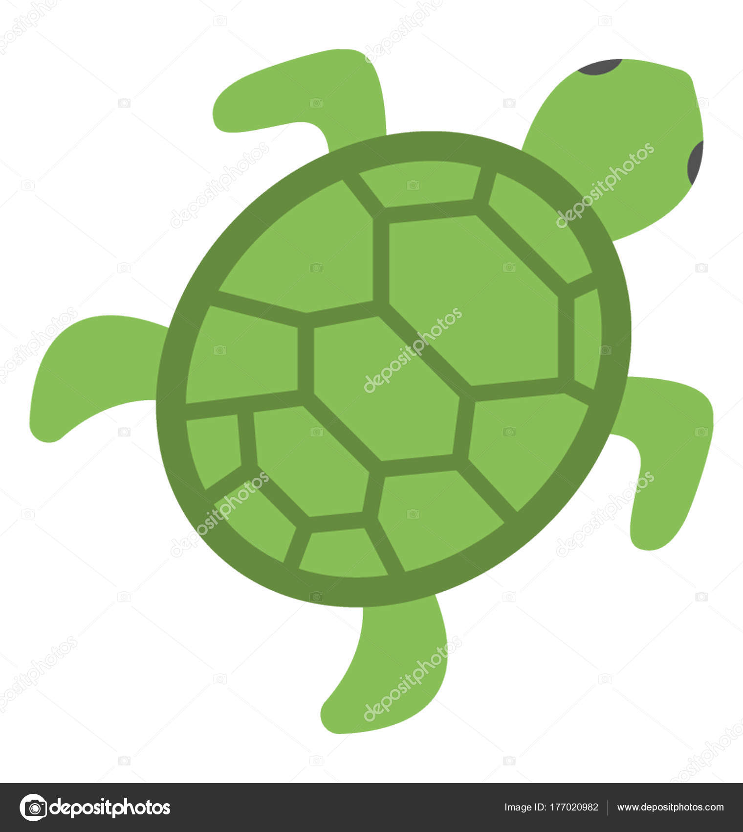 Green Color Sea Turtle Top Flat Vector Stock by 177020982