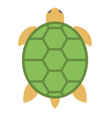 Deniz kaplumbağası yeşil kabuk düz vektör simgesi içeren
