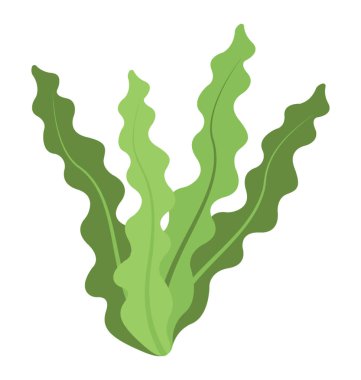 Bir deniz bitki, düz vektör simgesi bir yosun