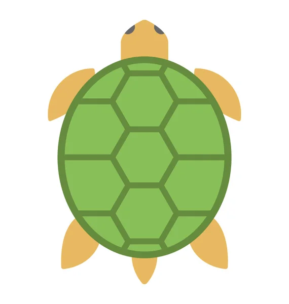 Θαλάσσια Χελώνα Ένα Εικονίδιο Επίπεδη Διάνυσμα Πράσινο Κέλυφος — Διανυσματικό Αρχείο