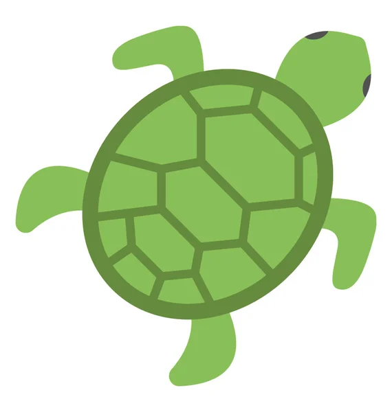Μια Θαλάσσια Χελώνα Πράσινο Χρώμα Κάτοψη Επίπεδη Διάνυσμα Εικονίδιο — Διανυσματικό Αρχείο