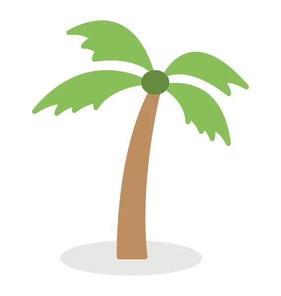 一个年轻的棕榈树平面矢量图标 — 图库矢量图片