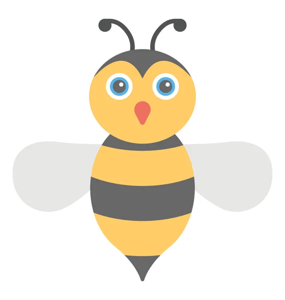 Graphic Image Honey Bee — Stock Vector