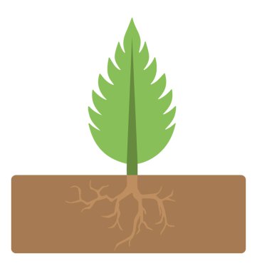 Büyüyen bir küçük bitki, düz vektör simgesi 