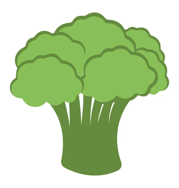 Brokoli Atau Ikon Vektor Datar Kembang Kol - Stok Vektor
