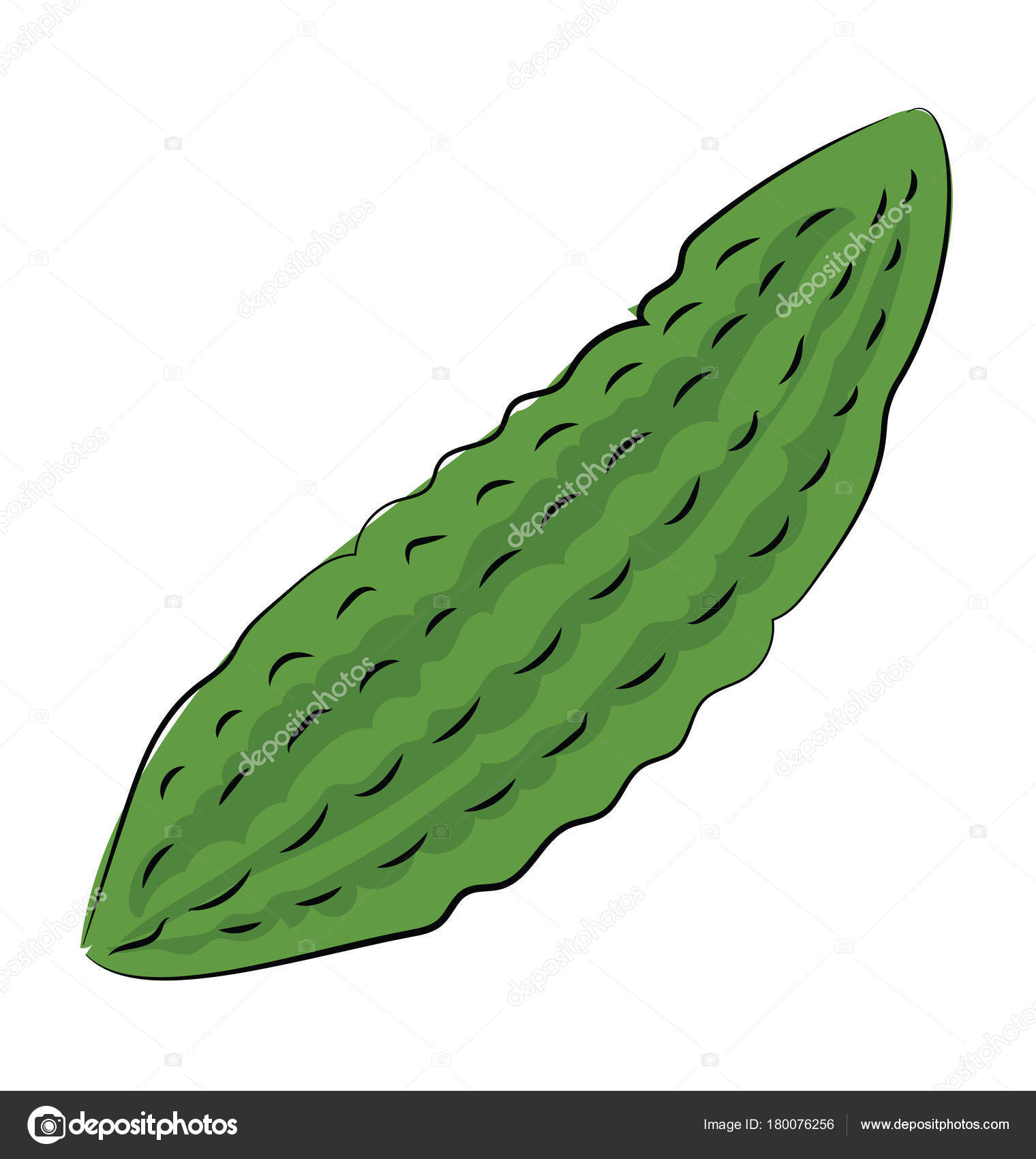 Bitter Gourd Sketchy Colored Vector Icon Stock Vector by ©creativestall  180076256