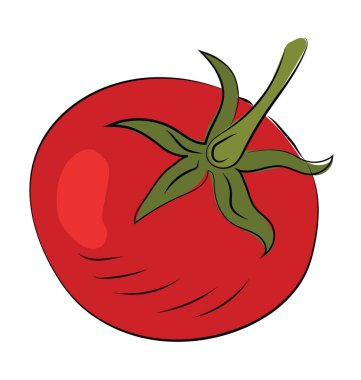 Domates el kabataslak çizilmiş vektör simgesi