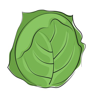 Lahana renkli yarım yamalak vektör simgesi