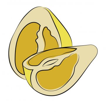 Pomelo renkli yarım yamalak vektör simgesi