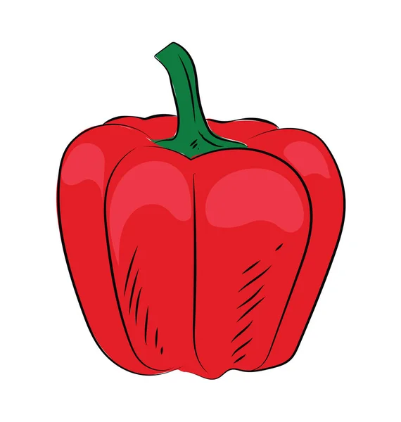 Capsicum Hand Getekende Vector Icon — Stockvector