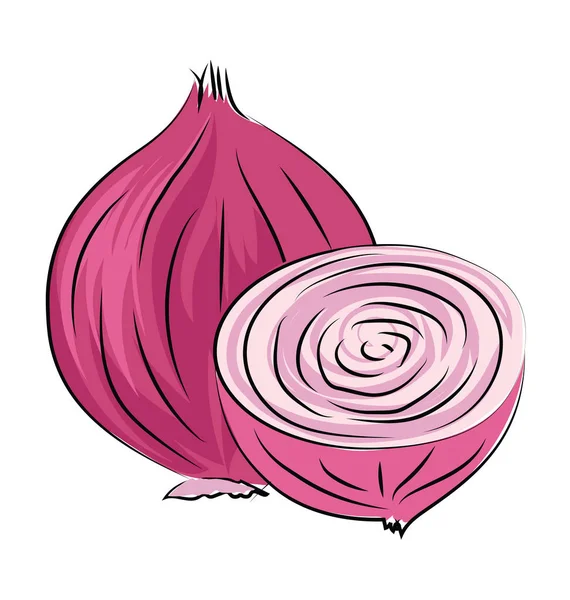 Onion Hand Drawn Sketchy Vector Icon — Stock Vector