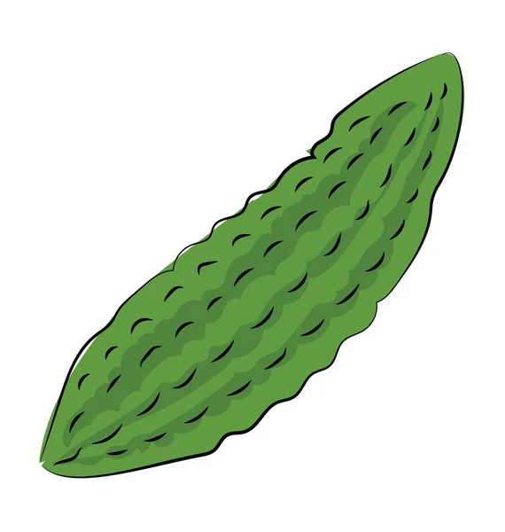 Bitter Gourd Sketchy Colored Vector Icon — Stock Vector